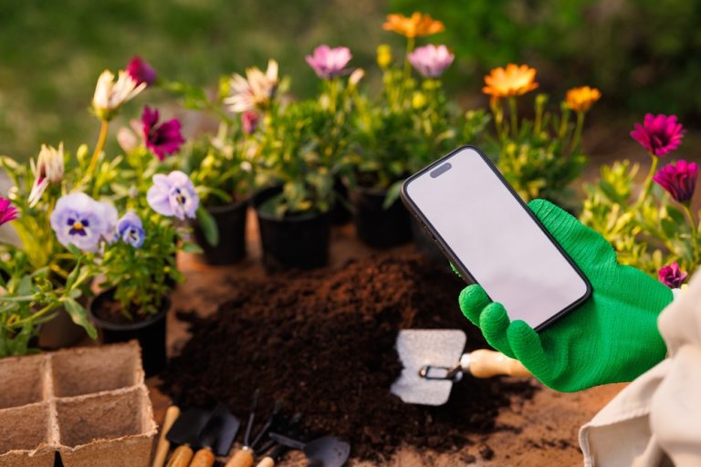 This Free App Could Save Your Garden From Dying This Spring