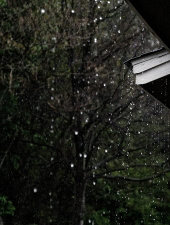 Stormwater Experts Say This Landscaping Trend Is Flooding Basements