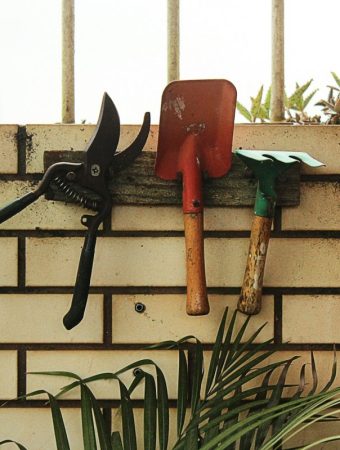 Why Gardeners Are Accidentally Spreading Disease With This Common Tool