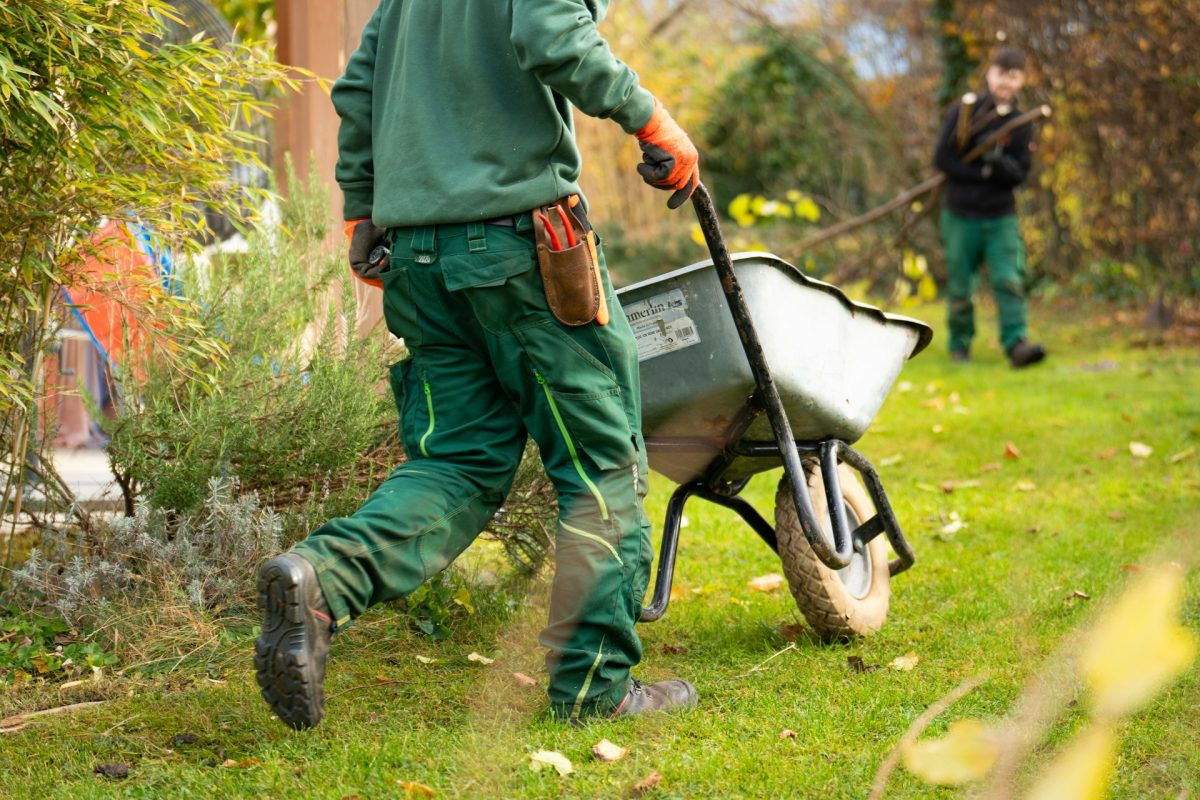 Why March Can Be the Cheapest Month to Tackle Big Garden Problems