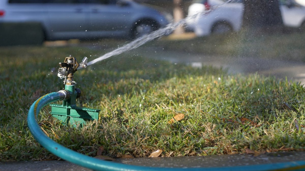 Why Some Gardeners Are Being Fined for a Little‑Known Watering Rule