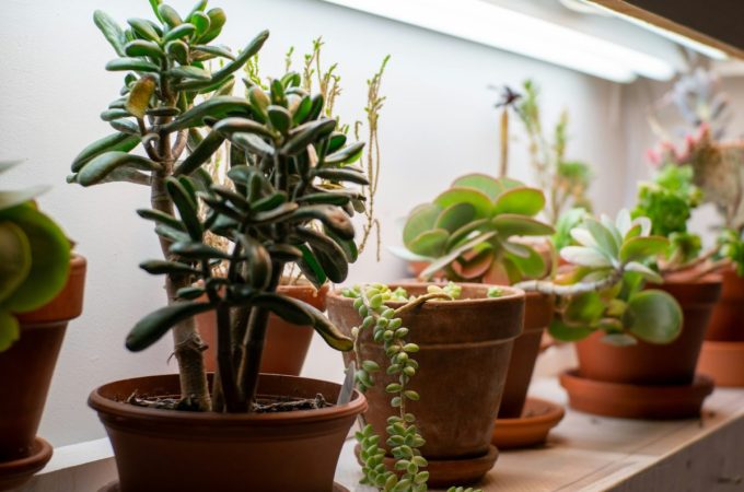 How Gardeners Are Repurposing Old Textiles To Save Hundreds On Supplies