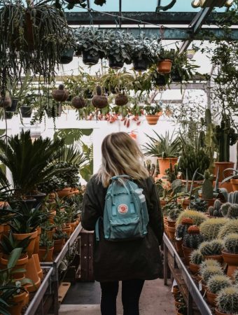 Why March Can Be the Cheapest Month to Tackle Big Garden Problems