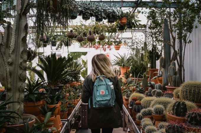 Why March Can Be the Cheapest Month to Tackle Big Garden Problems