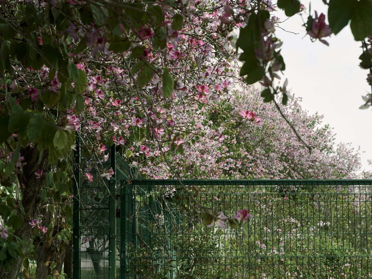 A Decorative Garden Fence Could Violate Local Wildlife Protection Laws
