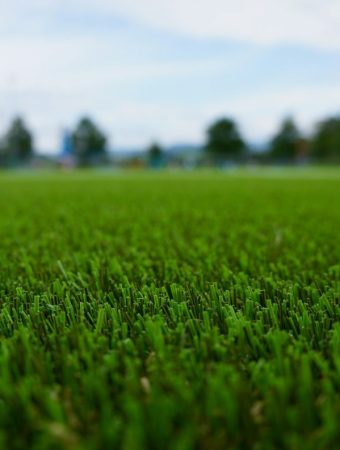 New HOA Guidelines in Florida Are Banning These 5 Garden Features