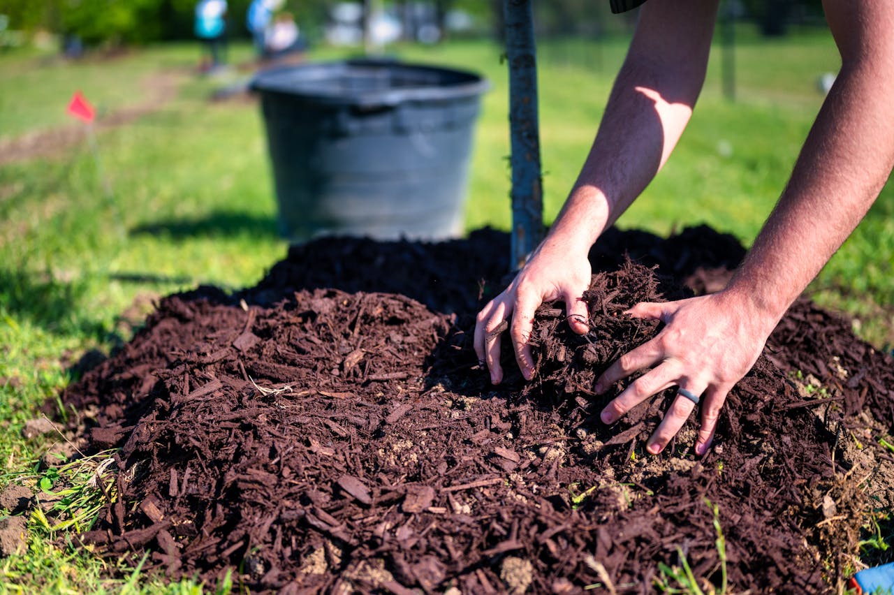 This Budget-Friendly Mulch Is Actually Acidifying Your Soil
