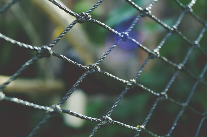 Why Your Garden Fence Could Be a Death Trap for Local Wildlife