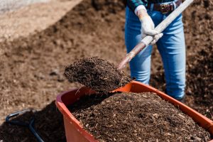 The $20 Soil Fix That Can Rescue a Struggling Spring Garden