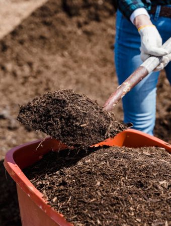 The $20 Soil Fix That Can Rescue a Struggling Spring Garden