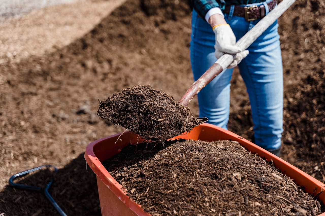 The $20 Soil Fix That Can Rescue a Struggling Spring Garden