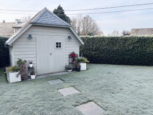 Why Your Garden Shed Could Be Harboring Toxic Mold This Winter