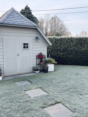 Why Your Garden Shed Could Be Harboring Toxic Mold This Winter