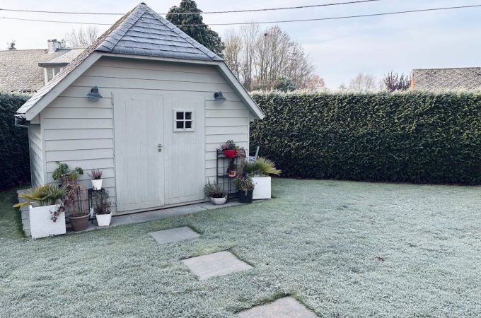 Why Your Garden Shed Could Be Harboring Toxic Mold This Winter