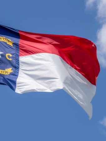 Gardeners in North Carolina Are Reporting a Surge in This Destructive Pest