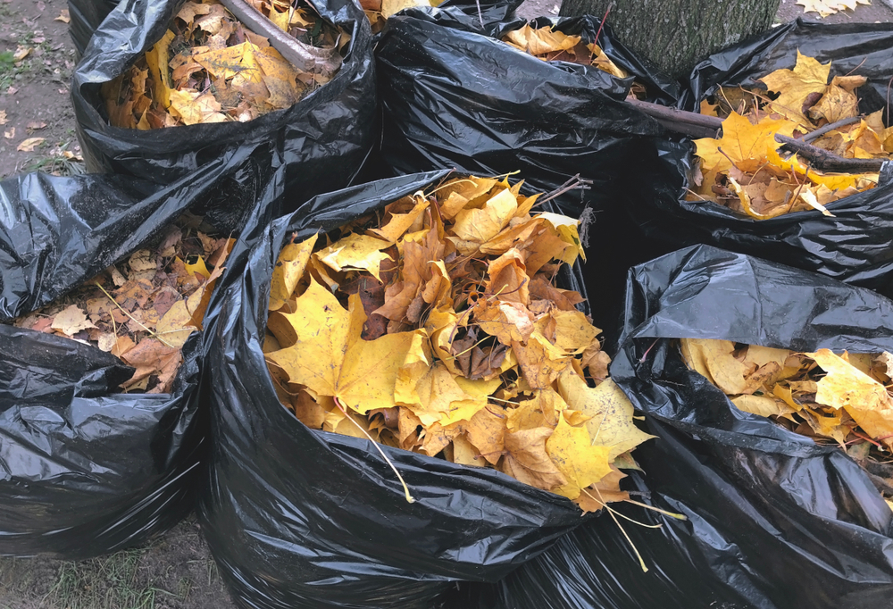 Homeowners Are Being Warned About a Yard Waste Rule Most People Don’t Know Exists