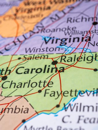 NC Agriculture Officials Warn: This Invasive Pest Is Now in Residential Gardens