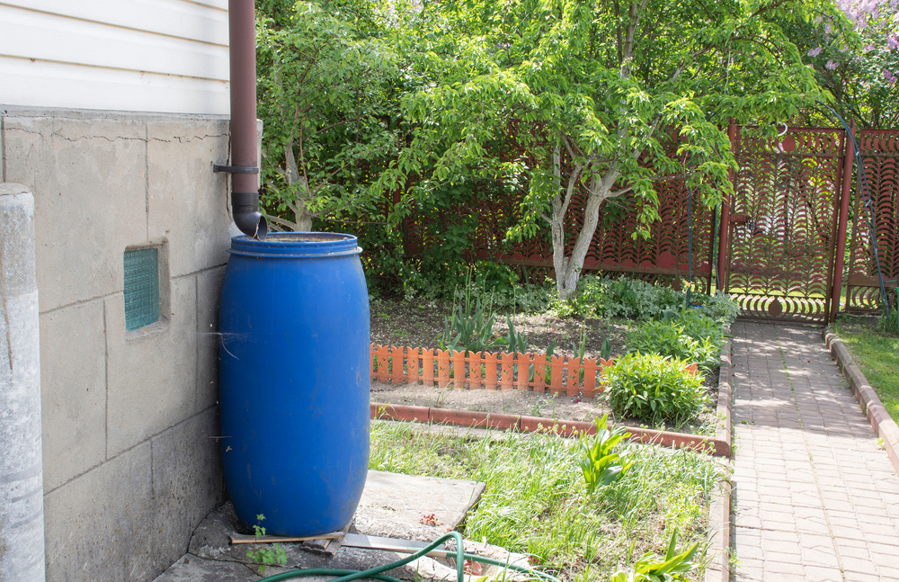 Water Authorities Warn Homeowners: Your Rain Barrel May Be Contaminated