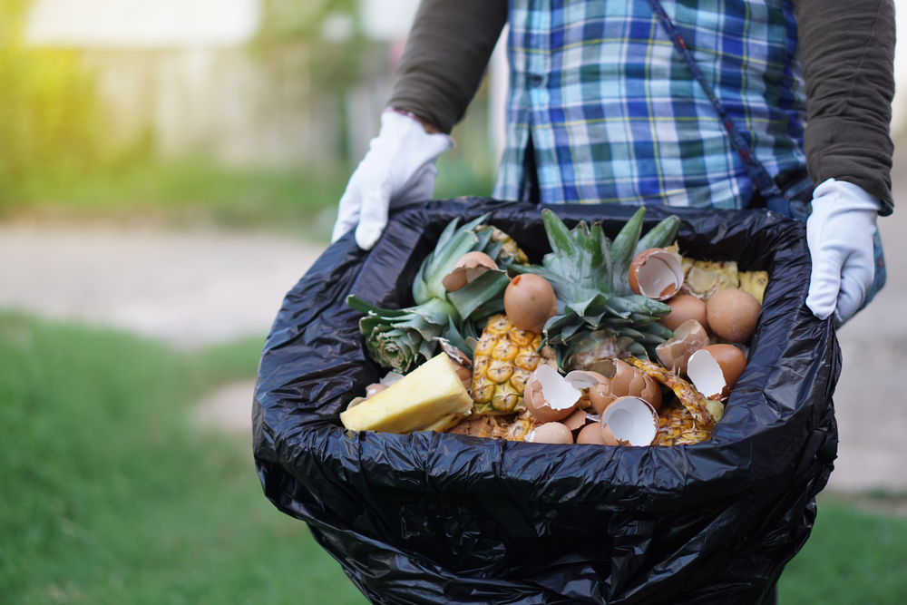 Studies Find Dangerous Bacteria in DIY Compost — Experts Urge Caution