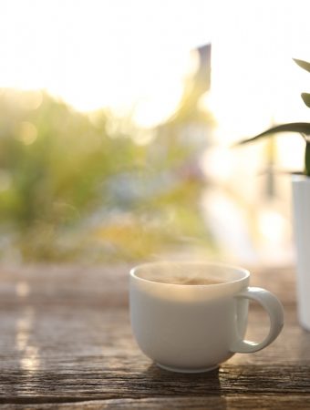 These Are 7 Sun-Loving Houseplants That Actually Refuse To Die In Direct Light