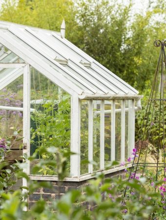 Theser Are 6 Items Experts Say You Should Never Store in a Greenhouse