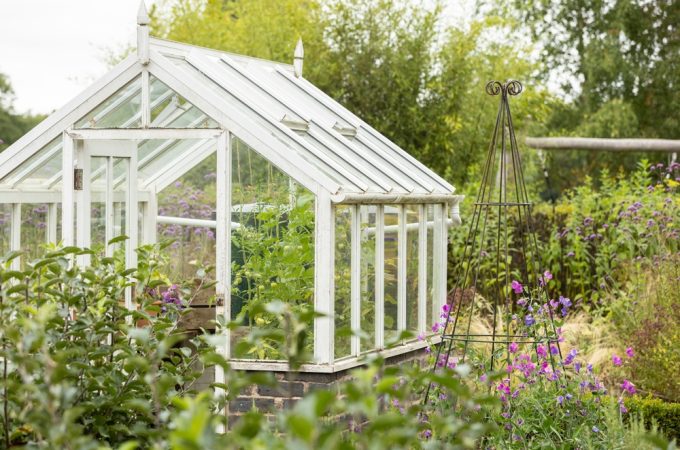 Theser Are 6 Items Experts Say You Should Never Store in a Greenhouse