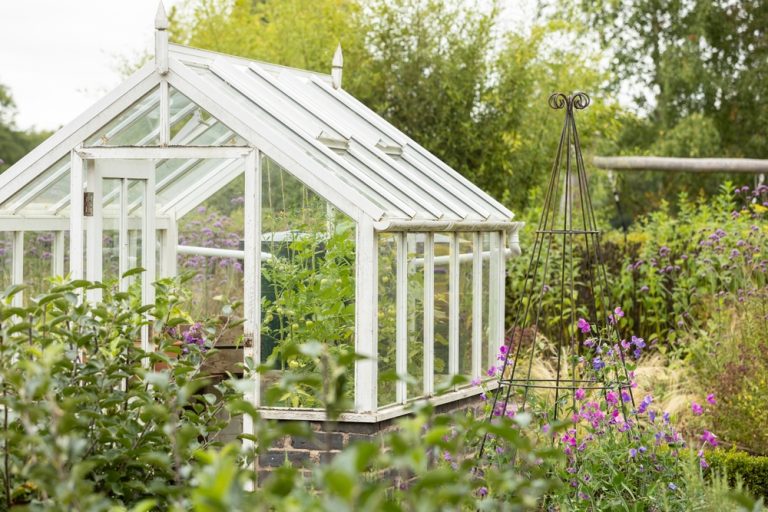 Theser Are 6 Items Experts Say You Should Never Store in a Greenhouse