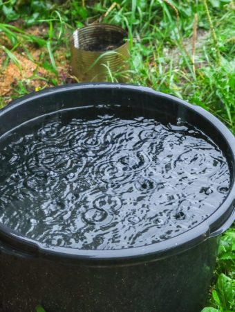 Water Authorities Warn Homeowners: Your Rain Barrel May Be Contaminated