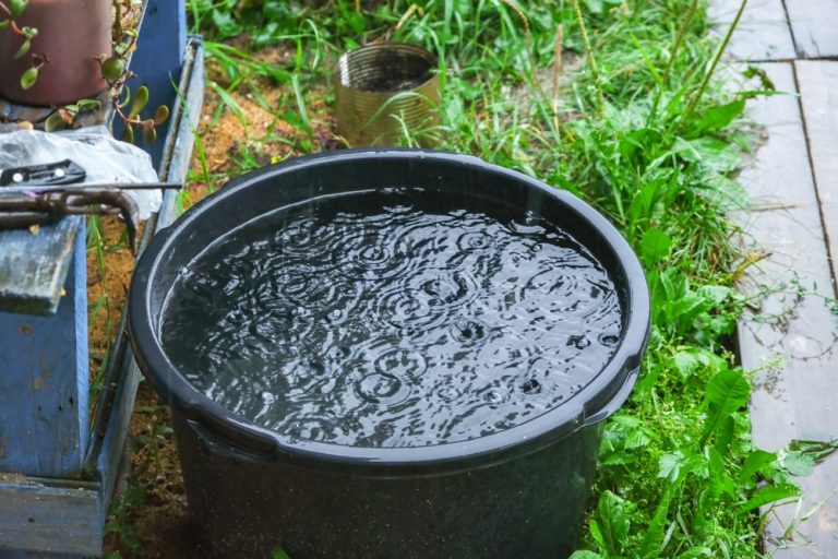 Water Authorities Warn Homeowners: Your Rain Barrel May Be Contaminated