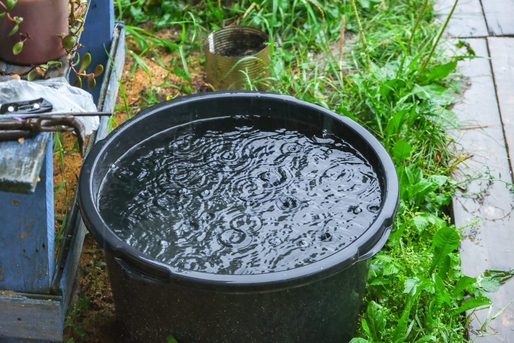 Water Authorities Warn Homeowners: Your Rain Barrel May Be Contaminated