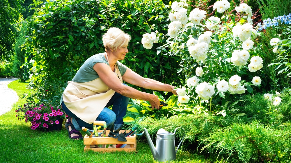 7 Tools That Help Seniors Stay In Their Gardens Longer