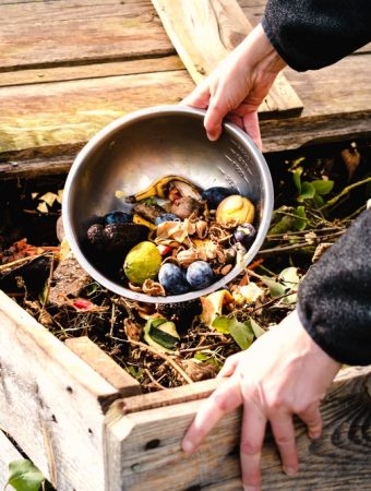 Studies Find Dangerous Bacteria in DIY Compost — Experts Urge Caution