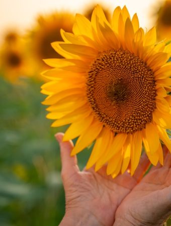 Impatient Gardeners: 7 Plants That Will Grow Faster Than You'd Think