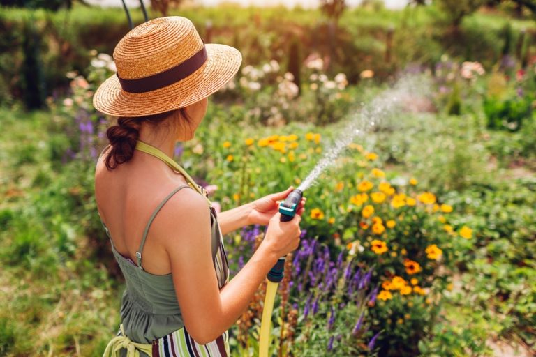 Why Your Garden Hose Could Be Leaching Chemicals Into Your Soil