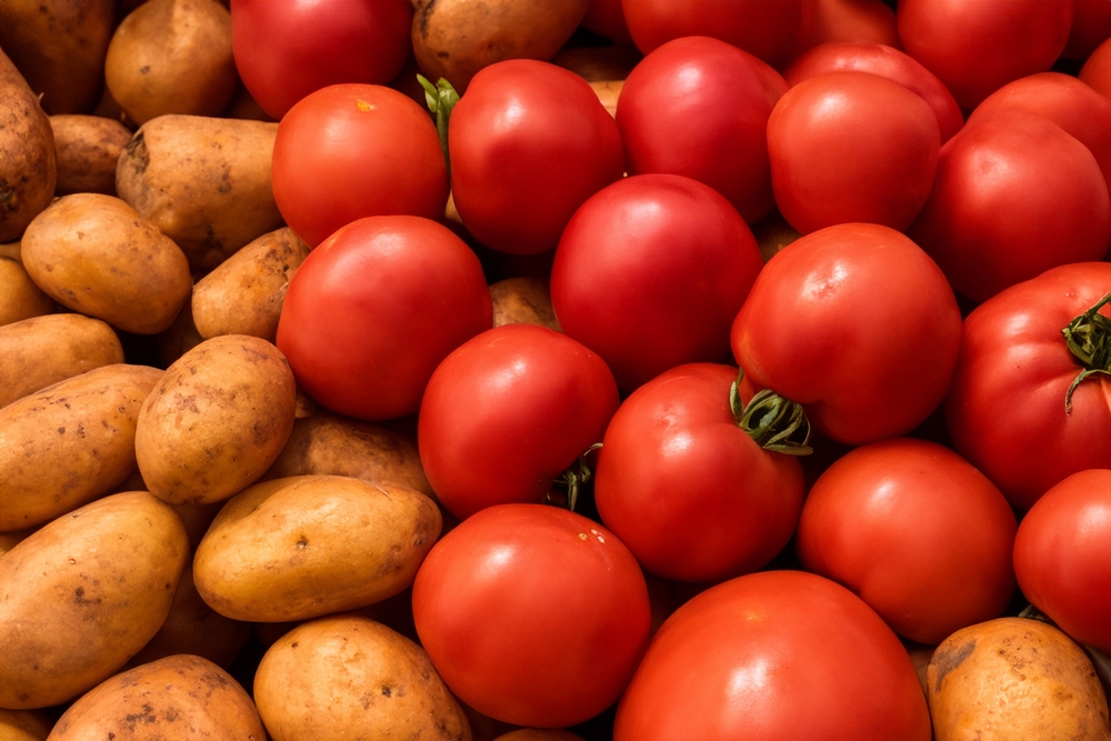 You Should Never Plant These 5 Things Next To Each Other