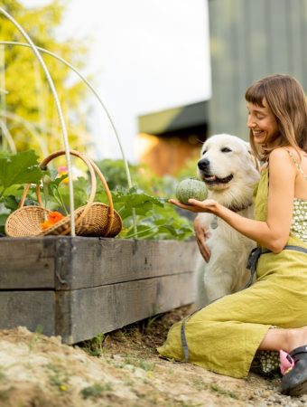 Dog Owners Shocked After Learning Their Mulch May Be Toxic