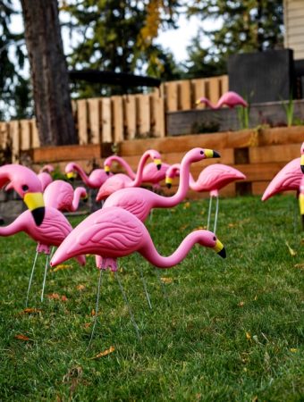 Homeowners Are Repurposing Cheap Lawn Ornaments in a Surprising New Way
