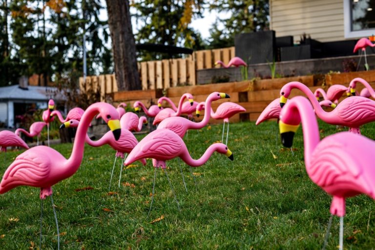 Homeowners Are Repurposing Cheap Lawn Ornaments in a Surprising New Way