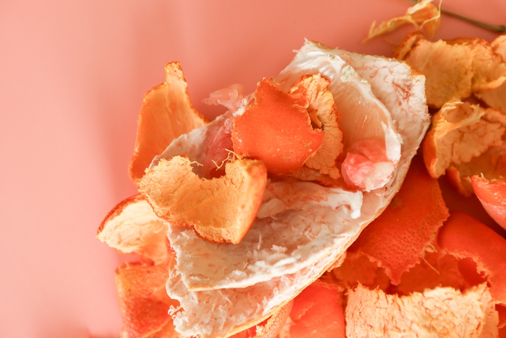 These Are 12 Zero‑Waste Gardening Ideas That Turn Scraps Into Something Useful