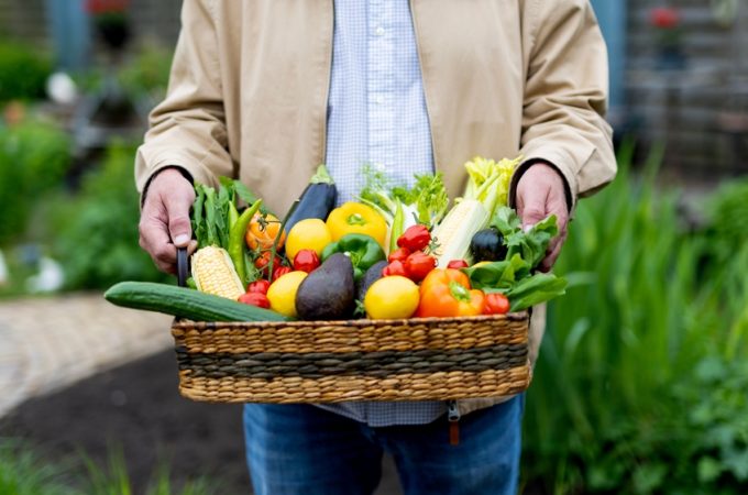 The Invisible Garden Toxin Experts Say Is Contaminating Your Home-Grown Food