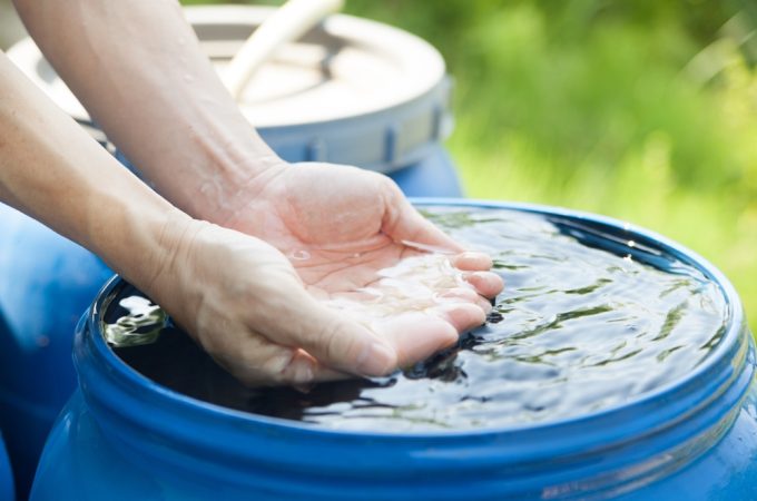 Why Gardeners in the Southeast Are Being Told to Stop Using Rainwater This Month