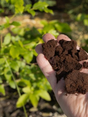 These 10 Garden Hacks Are Going Viral — But Experts Say 3 Are Ruining Soil Health