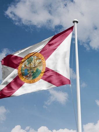 Florida Gardeners Warned: This Invasive Beetle Is Destroying Fruit Trees