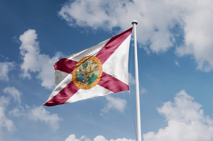 Florida Gardeners Warned: This Invasive Beetle Is Destroying Fruit Trees