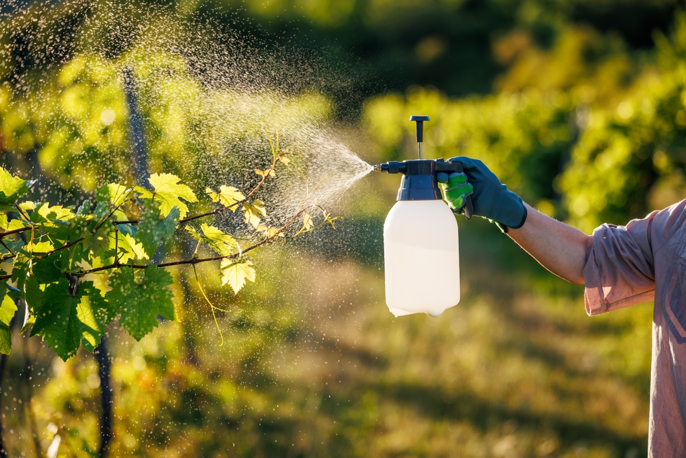 These 9 Gardening Laws Could Cost Homeowners Big in 2026 