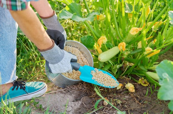 The Organic Fertilizer Problem Gardeners Are Reporting in 2026 — And How to Fix It Cheaply