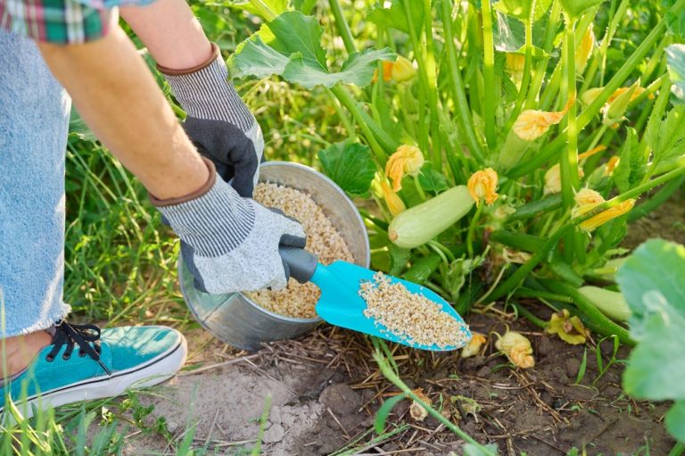 The Organic Fertilizer Problem Gardeners Are Reporting in 2026 — And How to Fix It Cheaply