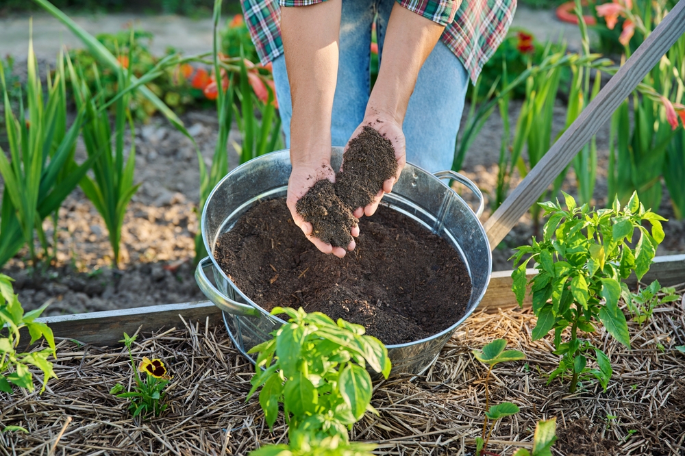 Gardening Experts Issue a Warning About Soil Problems Spreading Fast in 2026