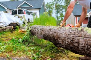 These 9 Gardening Laws Could Cost Homeowners Big in 2026