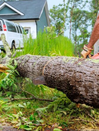 These 9 Gardening Laws Could Cost Homeowners Big in 2026
